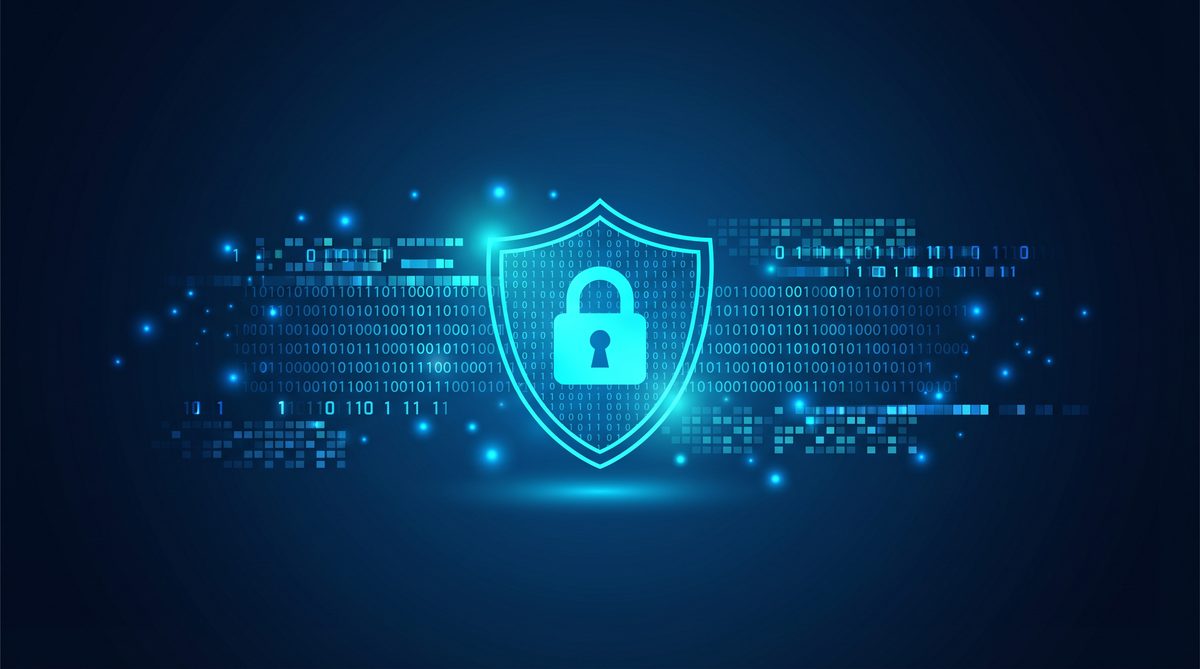 树器加速器隐私安全保护